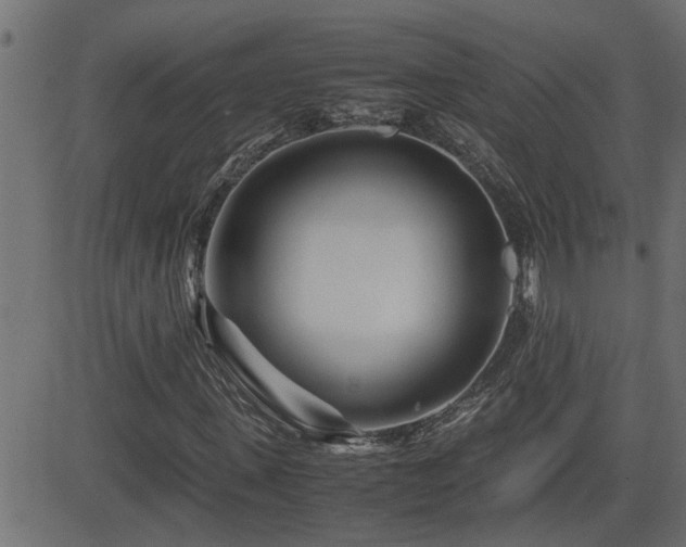 X0000082950915200702011238