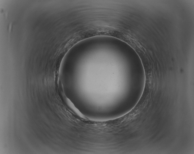 X0000082950916200702011238