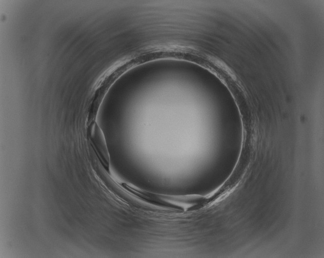 X0000082950922200702011238