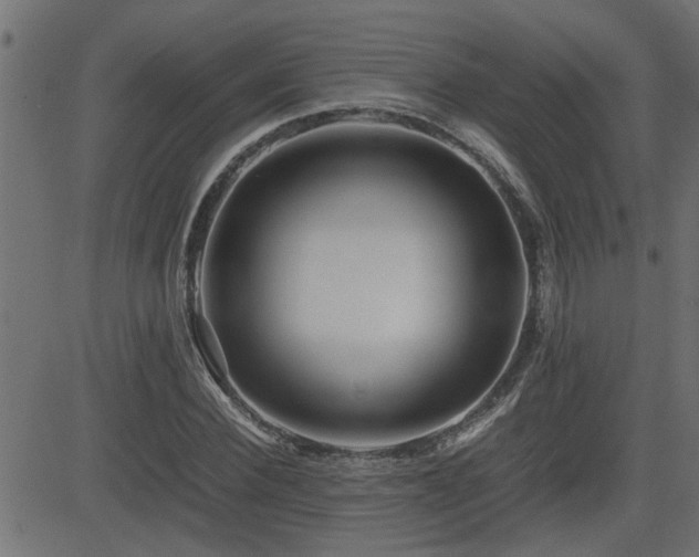 X0000082950924200702011238