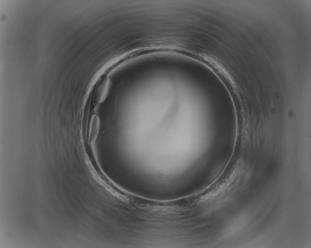 X0000082950941200702011239