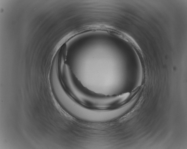X0000082950946200702011239