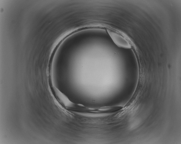 X0000082950951200702011239