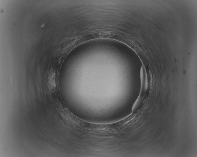 X0000082950962200702011238