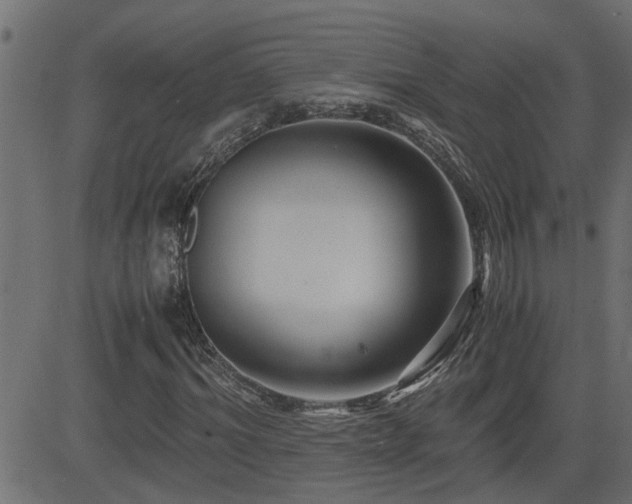 X0000082950964200702011238