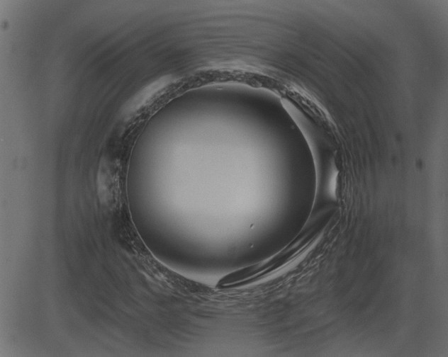 X0000082950968200702011238