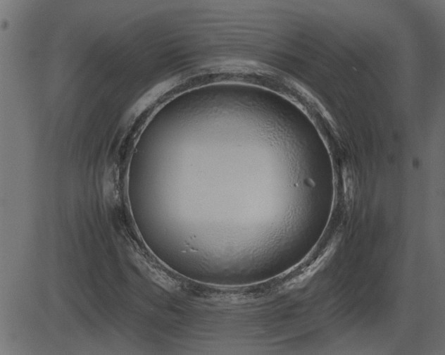 X0000082950970200702011238