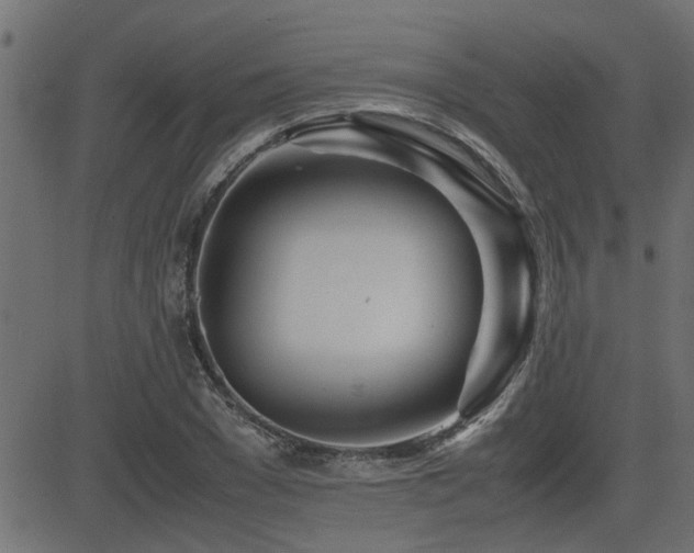 X0000082950977200702011238