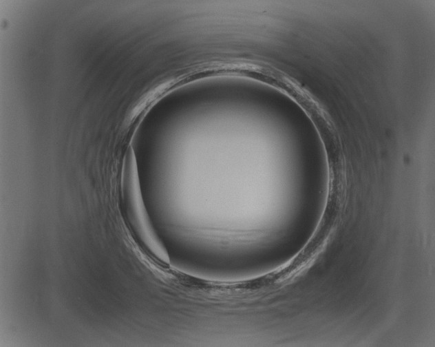 X0000082950985200702011238