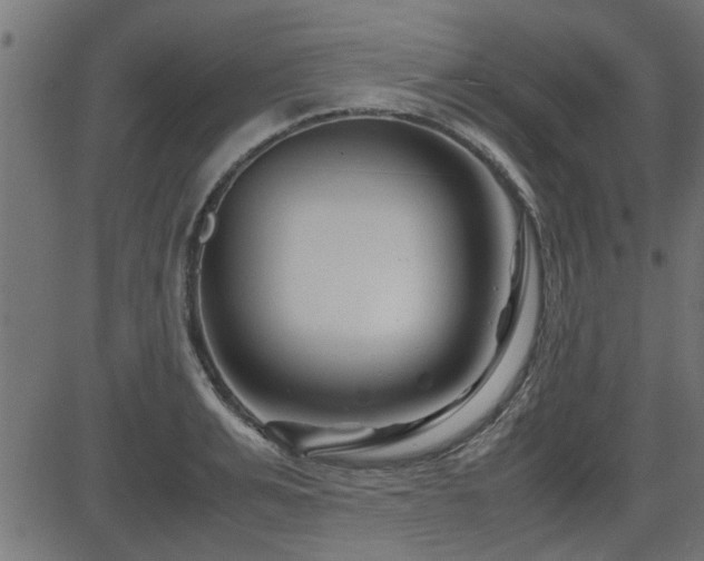 X0000082950991200702011238