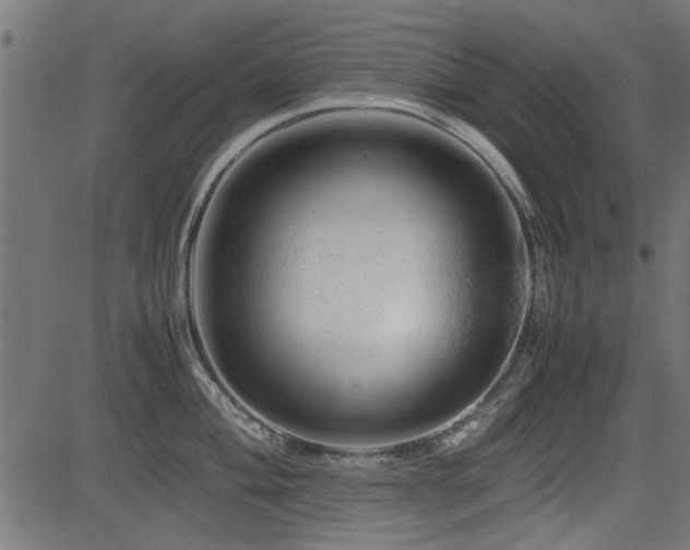 X0000082951004200702011237