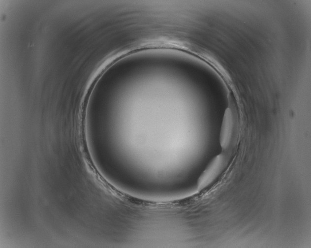 X0000082951008200702011237