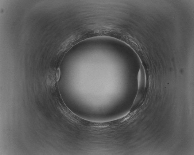 X0000082951012200702011237