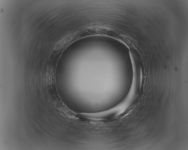 X0000082951014200702011237