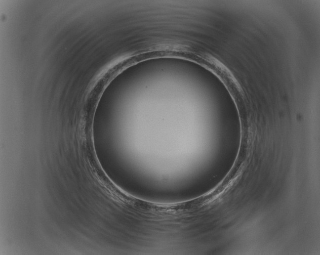 X0000082951019200702011237
