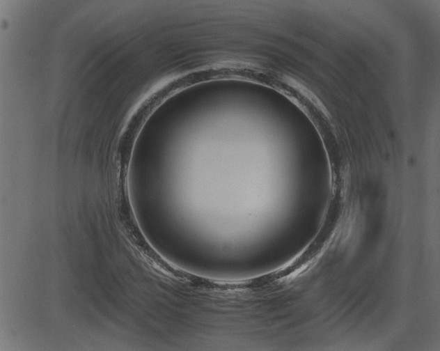 X0000082951021200702011237