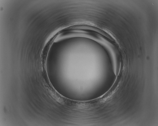 X0000082951022200702011237