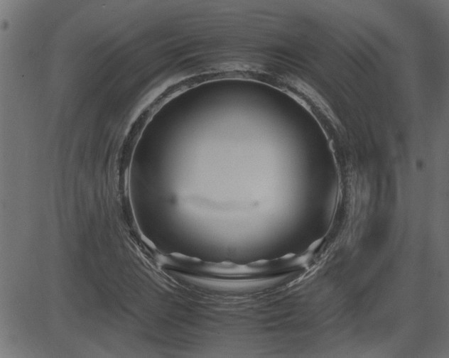 X0000082951023200702011237
