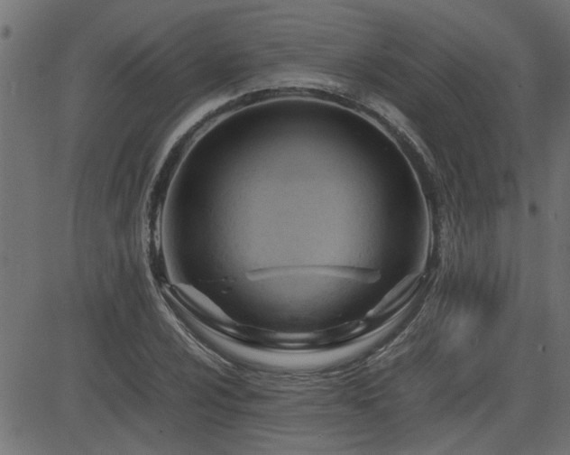 X0000082951024200702011237