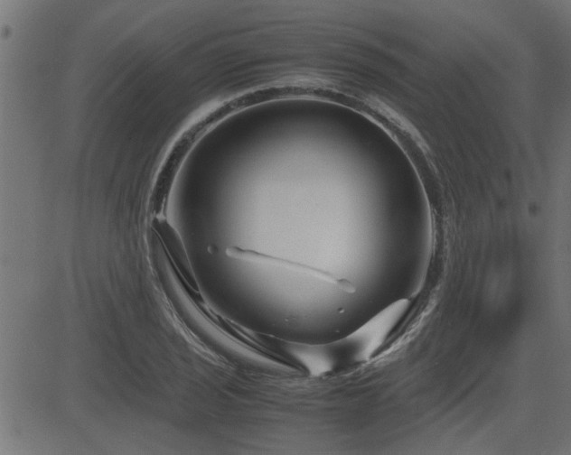 X0000082951029200702011237
