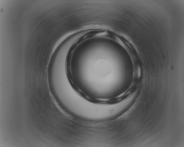 X0000082951030200702011237