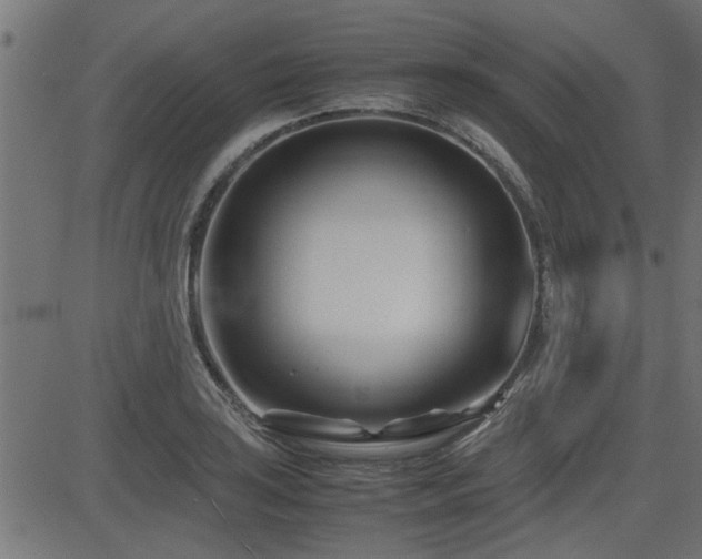 X0000082951035200702011237