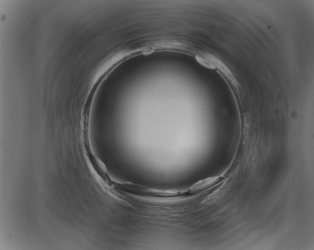X0000082951047200702011237
