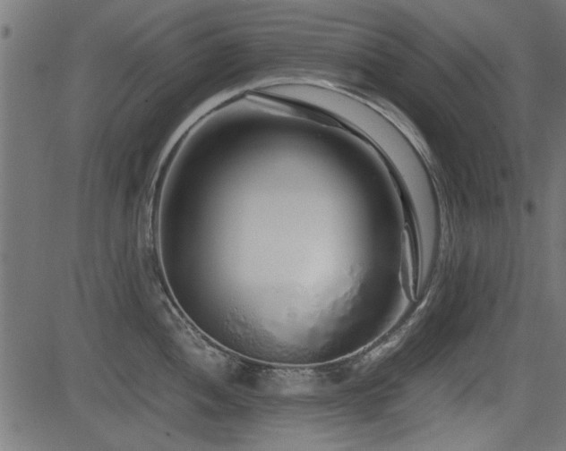 X0000082951052200702011237