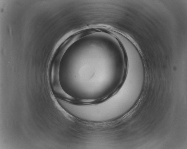 X0000082951054200702011237