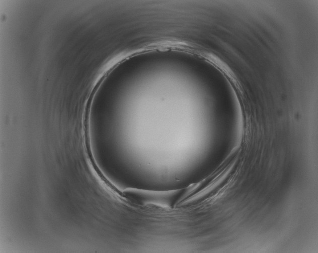 X0000082951055200702011237