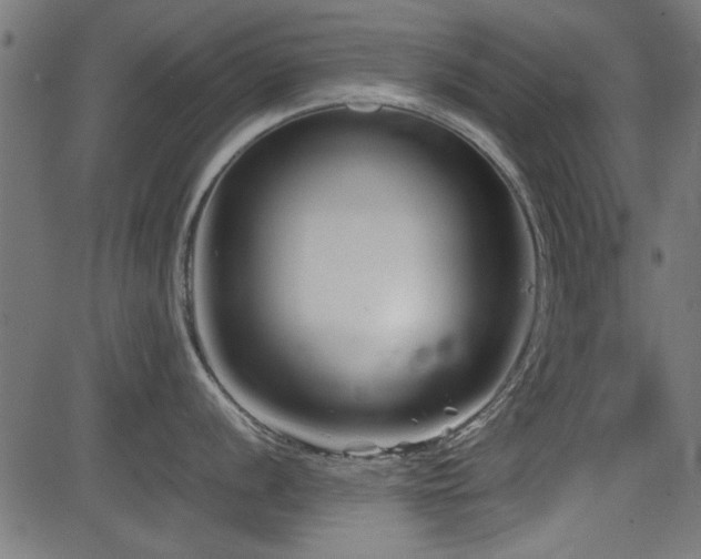 X0000082951056200702011237