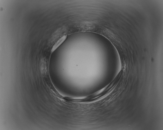 X0000082951058200702011237