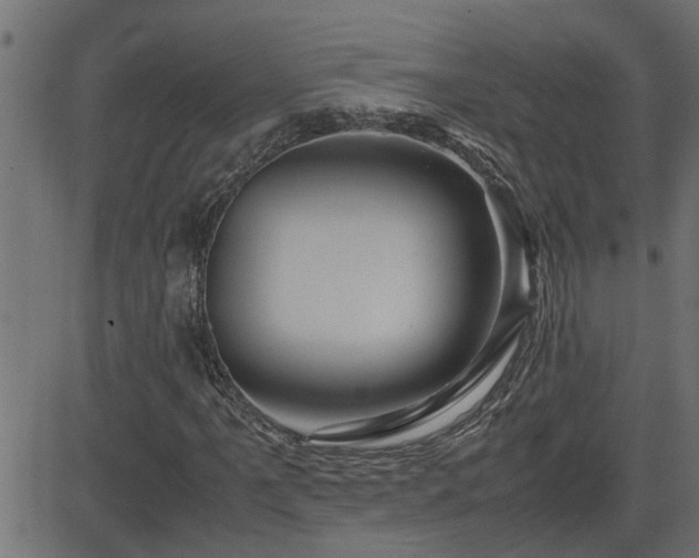 X0000082951061200702011237