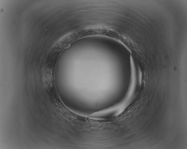 X0000082951062200702011237