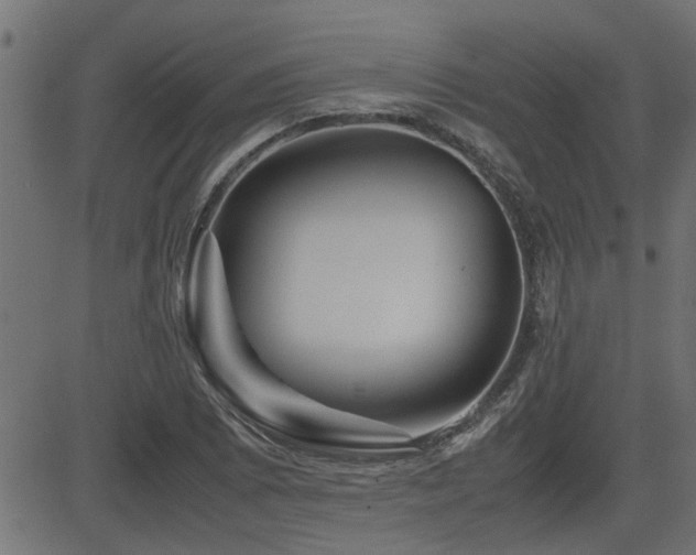 X0000082951073200702011236