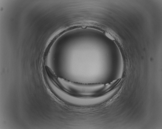 X0000082951085200702011236