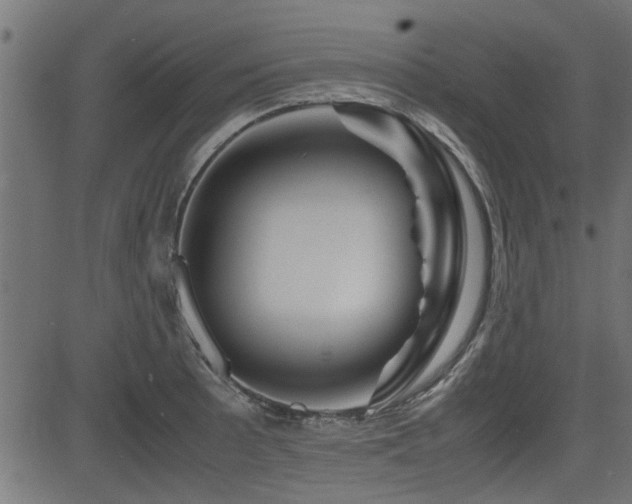 X0000082951089200702011236