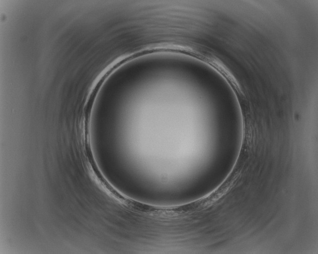 X0000082951092200702011236