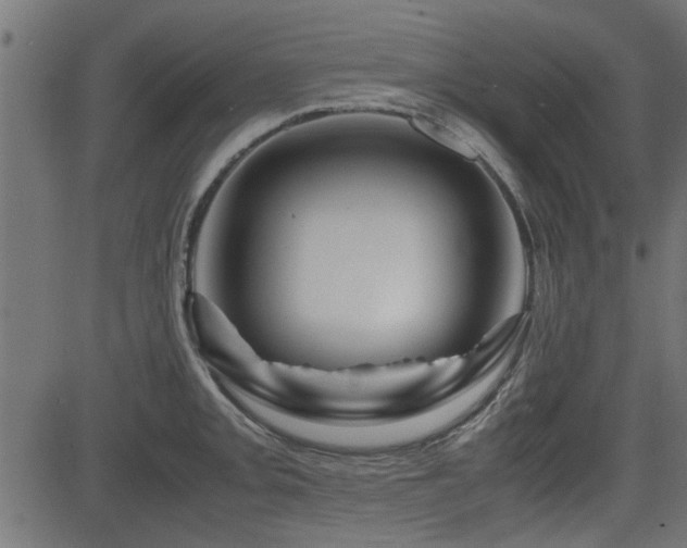X0000082951093200702011236