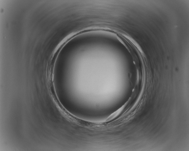 X0000082951101200702011236