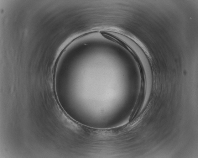 X0000082951102200702011236