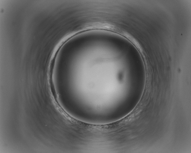 X0000082951104200702011236