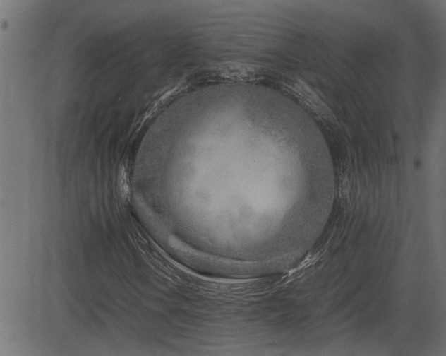 X0000082951106200702011235