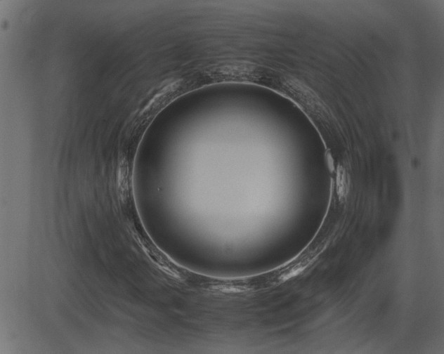 X0000082951107200702011235