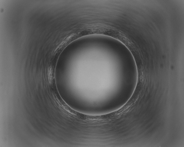 X0000082951108200702011235