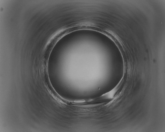 X0000082951115200702011235