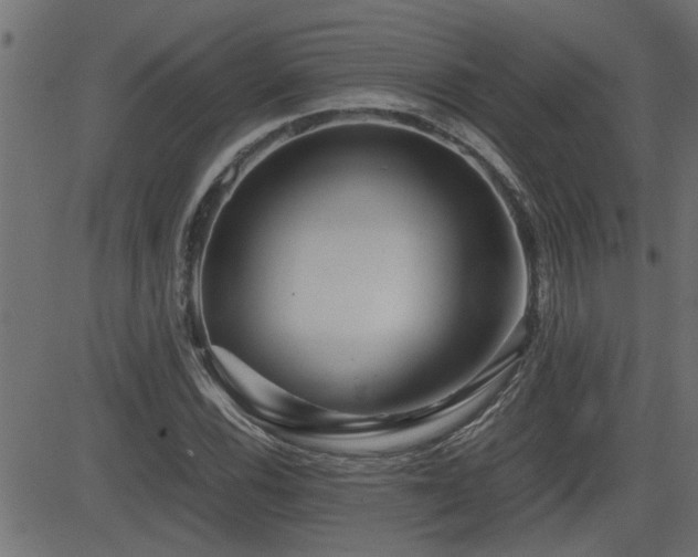 X0000082951116200702011235