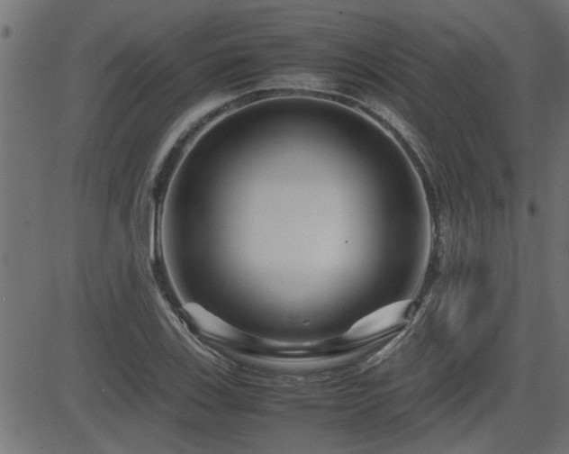 X0000082951123200702011235