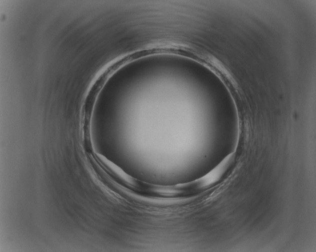 X0000082951124200702011235