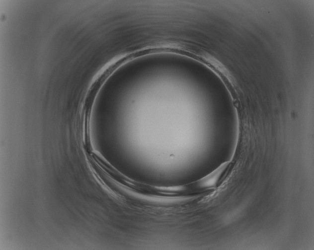 X0000082951127200702011235